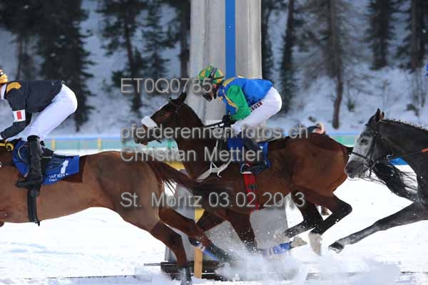 ET0Q0785 prot
